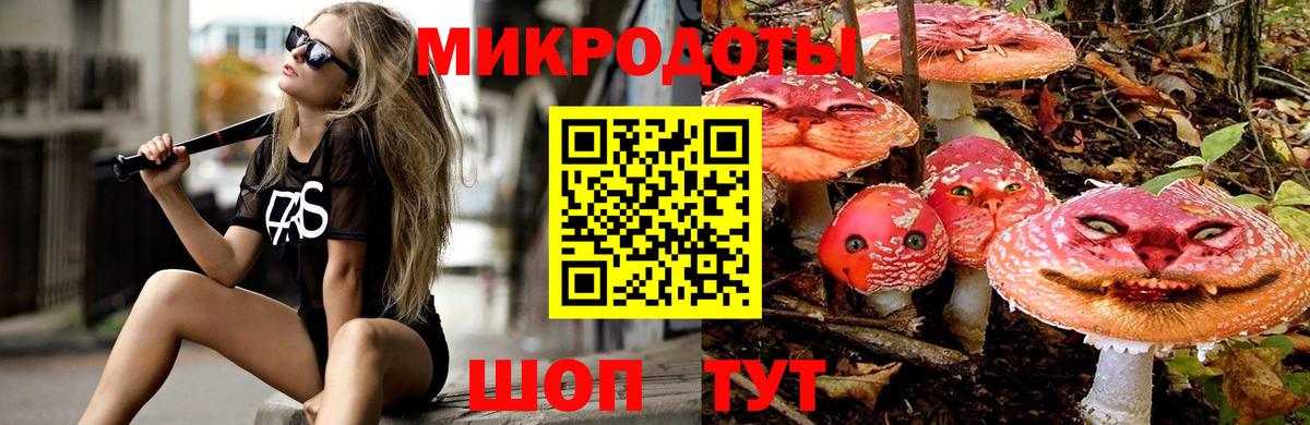 Псилоцибиновые грибы GOLDEN TEACHER Великие Луки