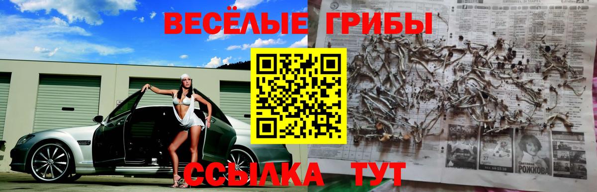купить закладку  Псилоцибиновые грибы мухоморы  Вход с VPN  Великие Луки  Галлюциногенные грибы ЛСД 